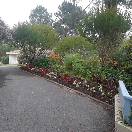 Apartament Laulyne *
